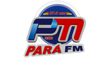 Rádio Pará Fm 87.9 LOGO
