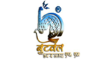 Butwal FM LOGO