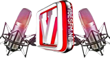 Vibes FM LOGO