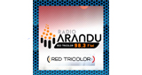 Radio Arandú LOGO