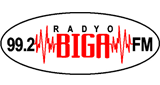 Biga FM LOGO