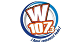 W 107.3 FM LOGO W 107.3 FM LOGO