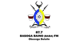 Baba FM 87.7 LOGO