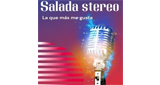 Salada stereo LOGO