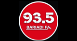 93.5 Mhz Bariadi Fm LOGO