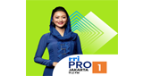 RRI Pro 1 LOGO
