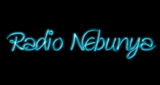 Radio Nebunya LOGO