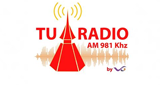 Radio 981 LOGO