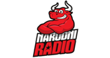 Narodni radio Zenica LOGO