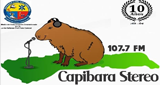Capibara Stereo LOGO