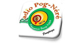 Radio Pognere LOGO