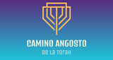 Camino Angosto de la Torah LOGO Camino Angosto de la Torah LOGO