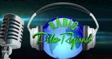 Radio Pilar Regional LOGO