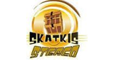 Skatkis Stereo LOGO