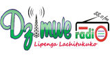 Dzimwe Community Radio LOGO
