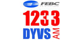 1233 DYVS LOGO