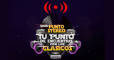Radio Punto Stereo Chile LOGO