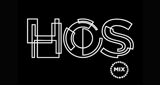 Hoş Mix LOGO