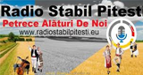 Radio Stabil Pitesti LOGO