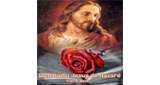 Rádio Jesus de Nazaré LOGO