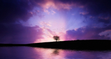 24/7 Deep Sleep Music Relaxing LOGO