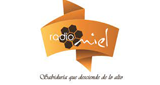 Radio Miel LOGO