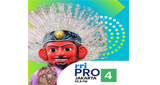 RRI Pro 4 LOGO