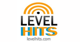 Radio Level Hits LOGO
