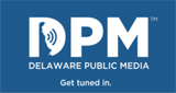 WDDE 91.1 FM LOGO