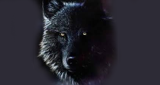 Dark Lupu LOGO