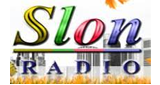 Radio Slon FM LOGO