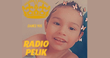 Radio Pelik LOGO