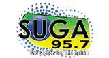 Suga WSGD-LD 95.7 FM LOGO Suga WSGD-LD 95.7 FM LOGO