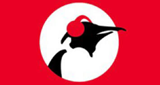 Pinguin Radio LOGO Pinguin Radio LOGO