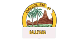 Radio Dallol Balleyara LOGO