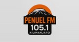 PenuelFM LOGO