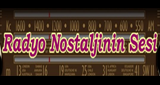 Radyo Nostaljinin Sesi LOGO