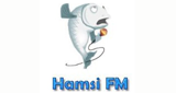 Hamsi FM LOGO