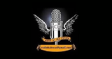 Radio Bakwas LOGO