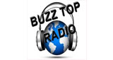 Buzz Top Radio LOGO Buzz Top Radio LOGO