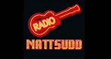 Radio Nattsudd LOGO