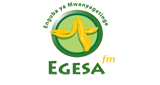 Egesa FM LOGO