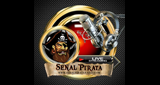 Señal Pirata Playas LOGO