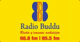 Radio Buddu 98.8FM and 95.5FM LOGO