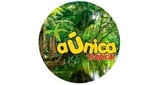 La Unica Tropical LOGO