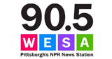 WESA LOGO
