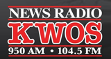 News Radio 950 LOGO