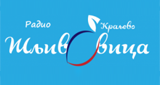 Radio Šljivovica LOGO