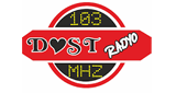 Dost Radyo LOGO