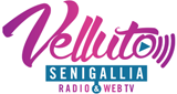 Radio Velluto LOGO